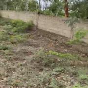 Manankoroni 3